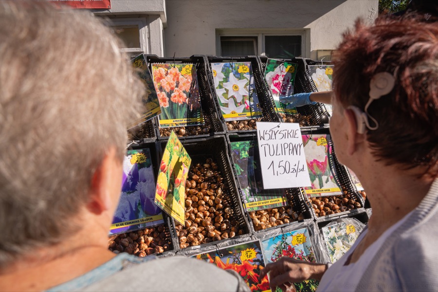 Stoisko z cebulkami kwiatowymi